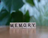Understanding AI Memory Systems: A Guide to LLM Recall, Retrieval, and Real-World Performance