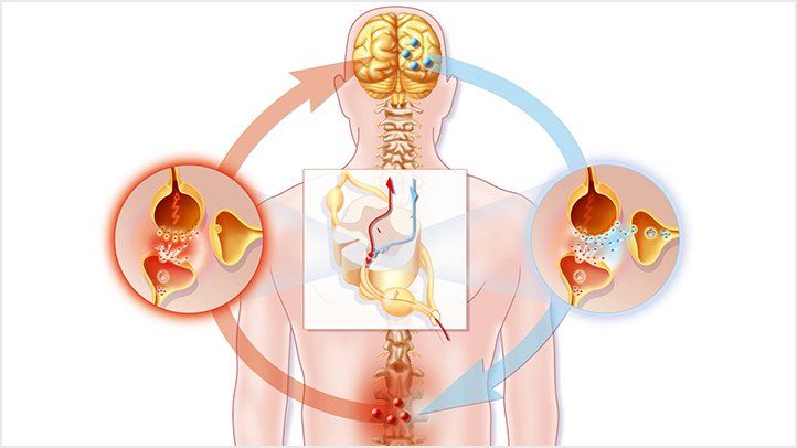 Science of Fibromyalgia: Exploring Research and Future Directions