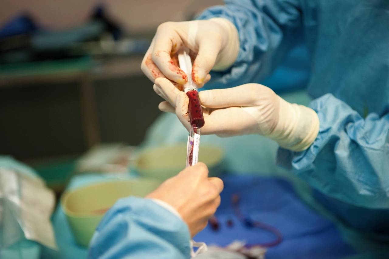 Bone Marrow Transplant (BMT) in India: A Hopeful Option