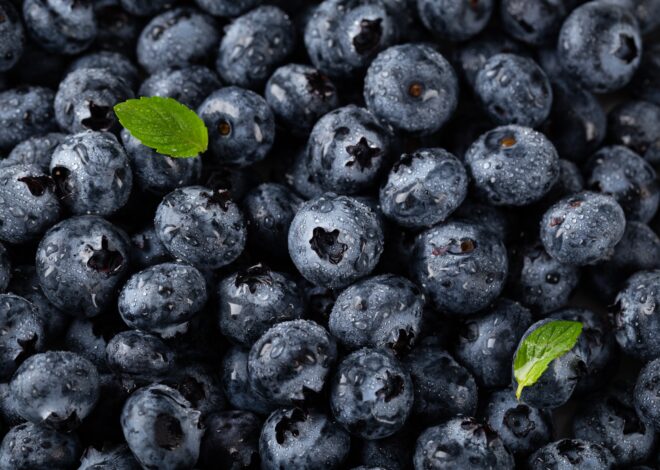 The Health Benefits of Blueberries for Men