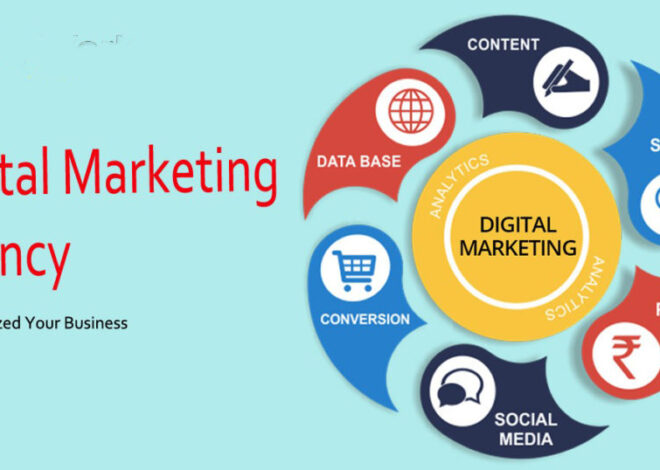 How to Grow Your Business With Digital Marketing Agency in Lahore