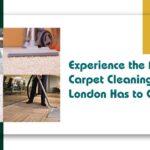 Carpet Cleaning