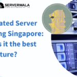 Dedicated Server Hosting Singapore: Why is it the best for Future?