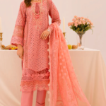 Pakistani Dresses in the USA