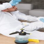 Stain Removal Services in Dubai
