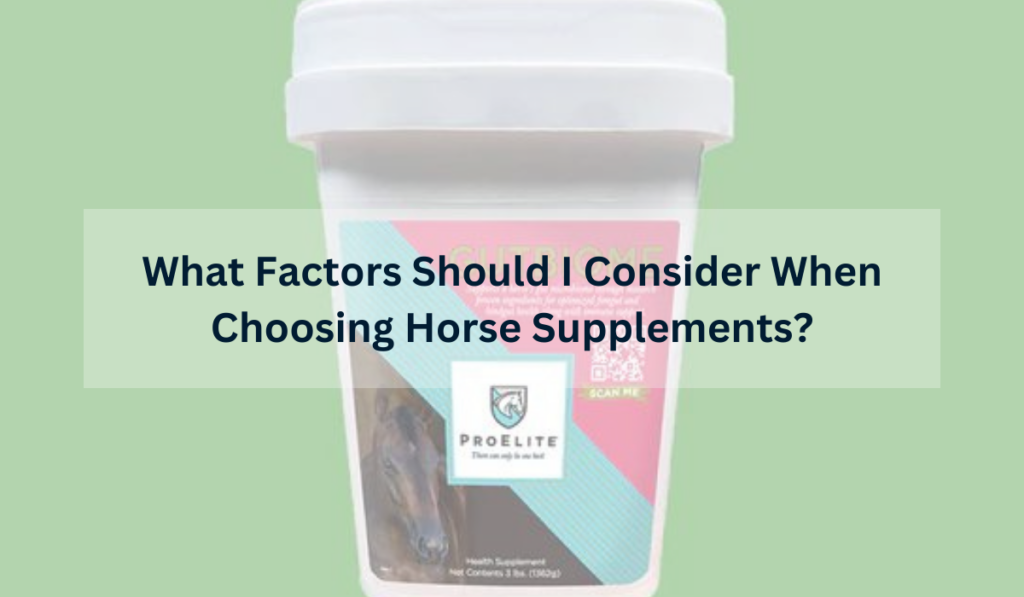 What Factors Should I Consider When Choosing Horse Supplements?