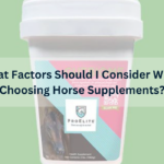 What Factors Should I Consider When Choosing Horse Supplements?