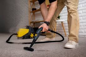 Best 12 Carpet Cleaning Tips for Pet Owners in Dubai