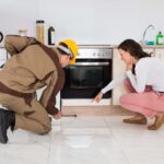Most Common Types of Pests and Effective Ways to Eliminate Them