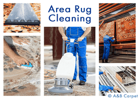 Top 10 Trusted Brooklyn Area Rug Cleaners