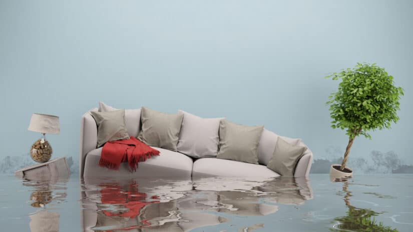 How Can a Homeowner Insurance Lawyer Assist with Water Damage Claims?