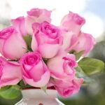 Timeless Romantic Flowers: Expressing Love through Nature's Finest