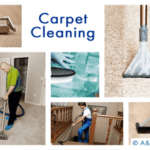 Top-Rated 10 Carpet Cleaner Brooklyn NY Experts