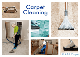 Top-Rated 10 Carpet Cleaner Brooklyn NY Experts