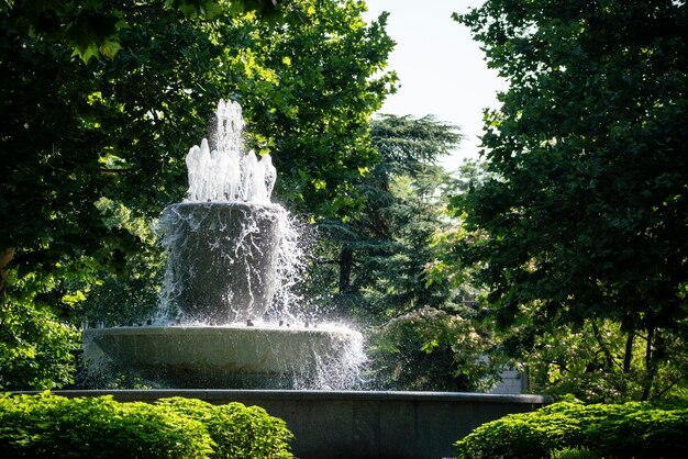 Water fountains