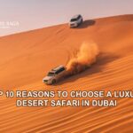 Luxury Desert Safari