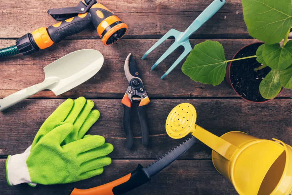 What Are the Essential Tools for a Beginner Gardener for Gardening?