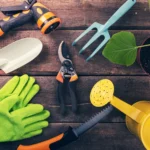 What Are the Essential Tools for a Beginner Gardener for Gardening?