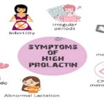 hormone prolactin