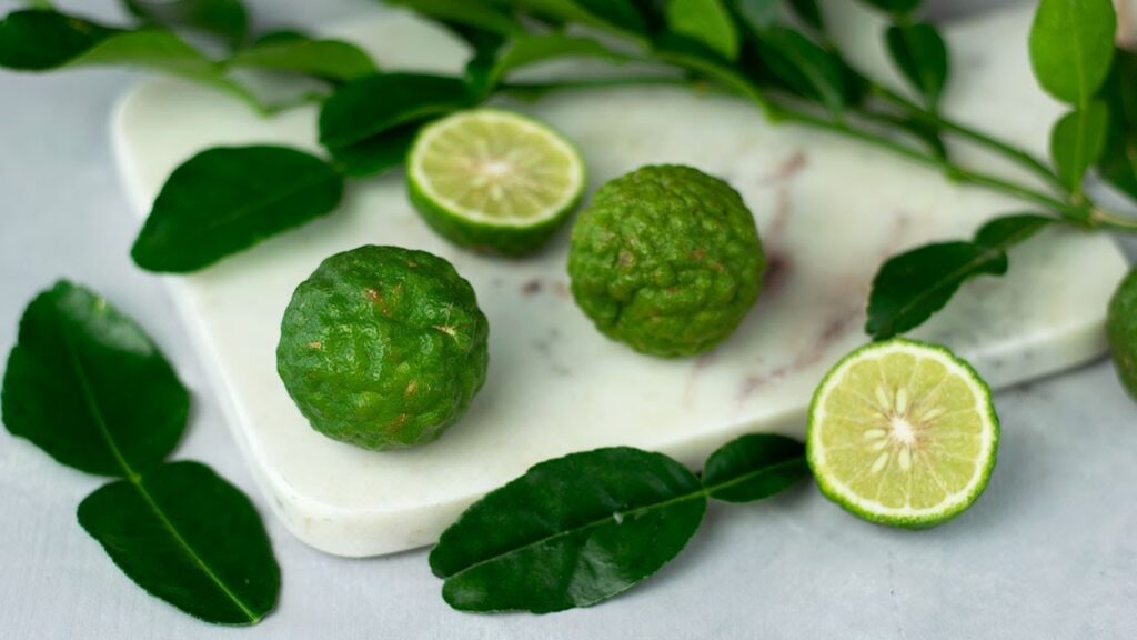 Kaffir lime