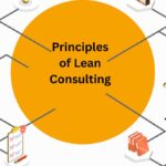 Principles of Lean Consulting