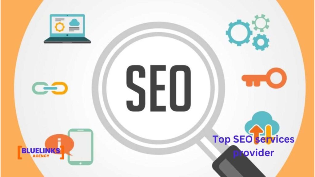 Top SEO services provider