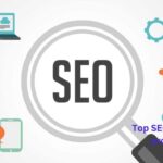 Top SEO services provider